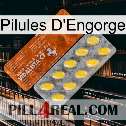 Engorge Pills 42